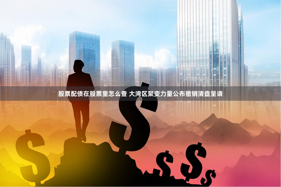 股票配债在股票里怎么查 大湾区聚变力量公布撤销清盘呈请