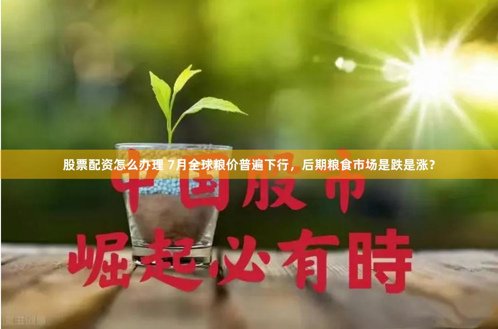 股票配资怎么办理 7月全球粮价普遍下行，后期粮食市场是跌是涨？
