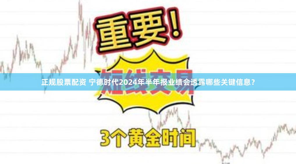 正规股票配资 宁德时代2024年半年报业绩会透露哪些关键信息？