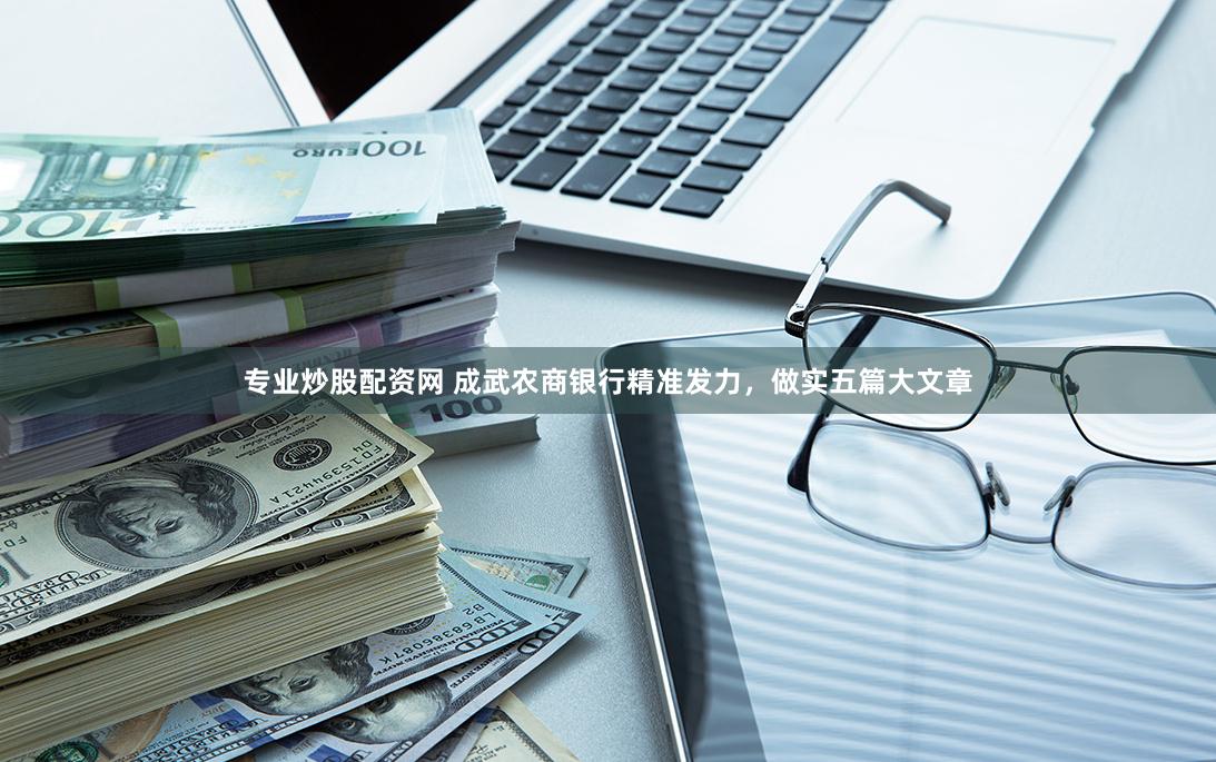 专业炒股配资网 成武农商银行精准发力，做实五篇大文章